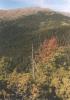 nizketatry86